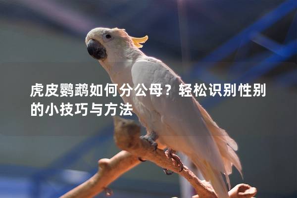 虎皮鹦鹉如何分公母？轻松识别性别的小技巧与方法