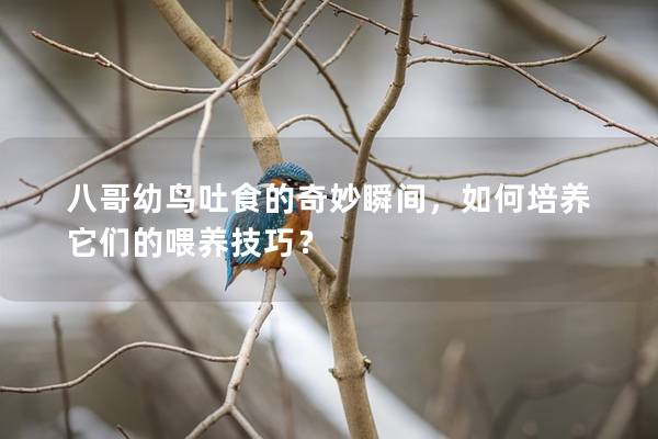 八哥幼鸟吐食的奇妙瞬间，如何培养它们的喂养技巧？