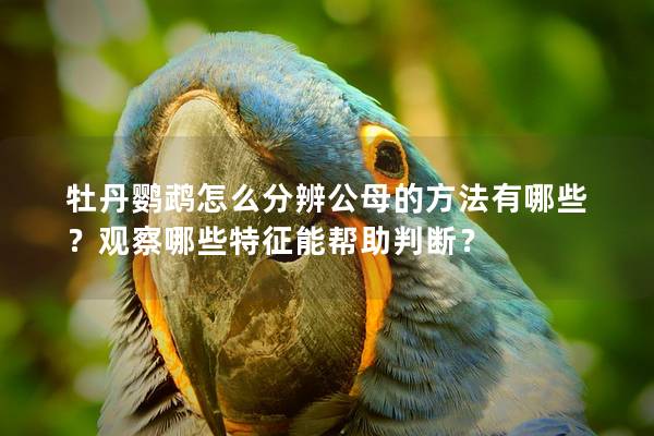 牡丹鹦鹉怎么分辨公母的方法有哪些？观察哪些特征能帮助判断？