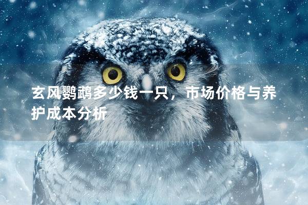 玄风鹦鹉多少钱一只，市场价格与养护成本分析