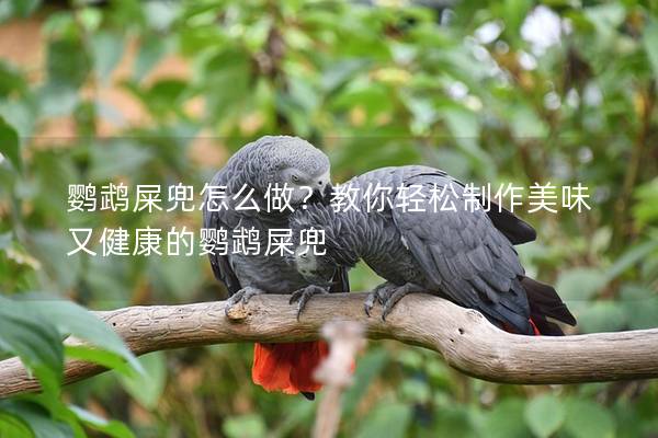 鹦鹉屎兜怎么做？教你轻松制作美味又健康的鹦鹉屎兜