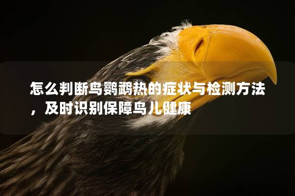 怎么判断鸟鹦鹉热的症状与检测方法，及时识别保障鸟儿健康