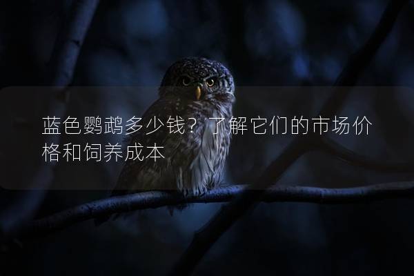 蓝色鹦鹉多少钱？了解它们的市场价格和饲养成本