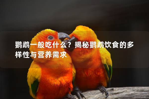 鹦鹉一般吃什么？揭秘鹦鹉饮食的多样性与营养需求