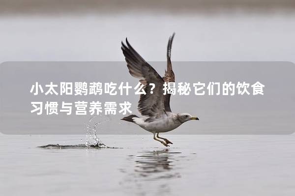 小太阳鹦鹉吃什么？揭秘它们的饮食习惯与营养需求