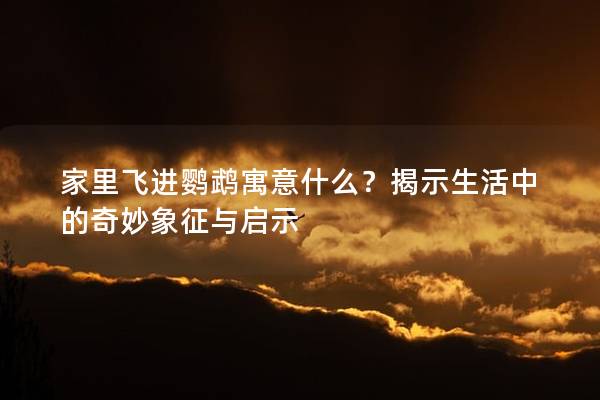 家里飞进鹦鹉寓意什么？揭示生活中的奇妙象征与启示