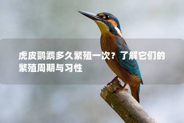 虎皮鹦鹉多久繁殖一次？了解它们的繁殖周期与习性