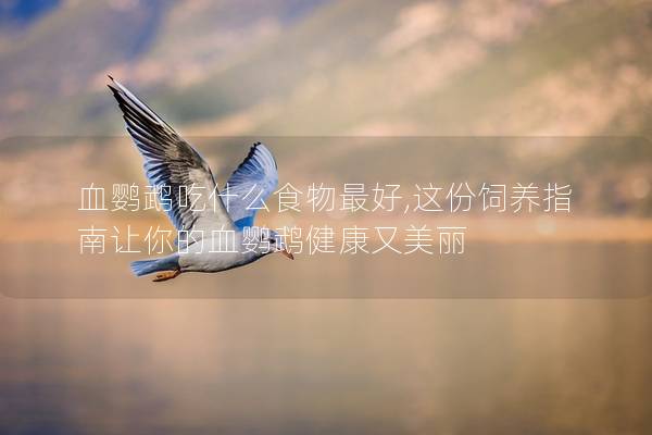 血鹦鹉吃什么食物最好,这份饲养指南让你的血鹦鹉健康又美丽