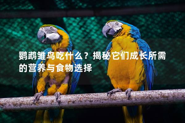 鹦鹉雏鸟吃什么？揭秘它们成长所需的营养与食物选择