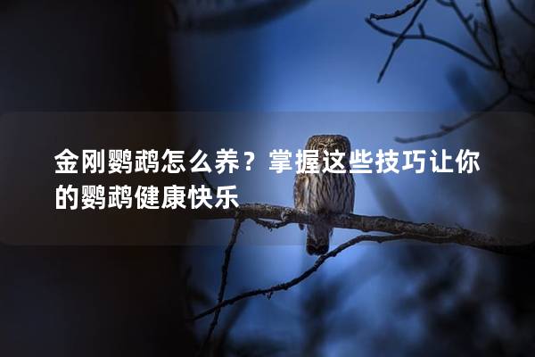 金刚鹦鹉怎么养？掌握这些技巧让你的鹦鹉健康快乐
