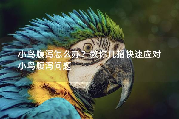 小鸟腹泻怎么办？教你几招快速应对小鸟腹泻问题