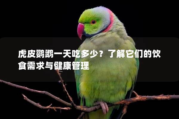 虎皮鹦鹉一天吃多少？了解它们的饮食需求与健康管理