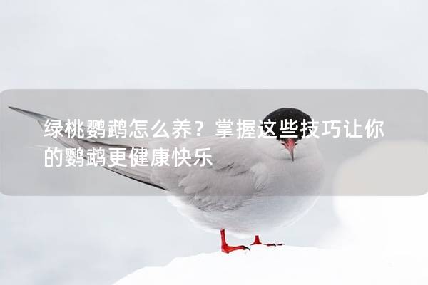 绿桃鹦鹉怎么养？掌握这些技巧让你的鹦鹉更健康快乐