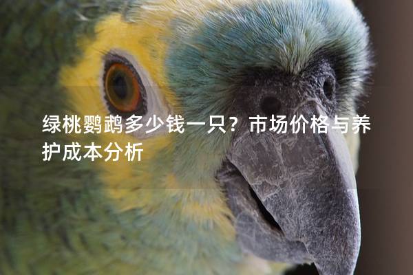 绿桃鹦鹉多少钱一只？市场价格与养护成本分析