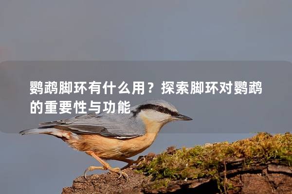 鹦鹉脚环有什么用？探索脚环对鹦鹉的重要性与功能