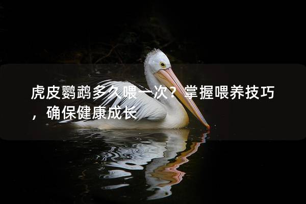 虎皮鹦鹉多久喂一次？掌握喂养技巧，确保健康成长