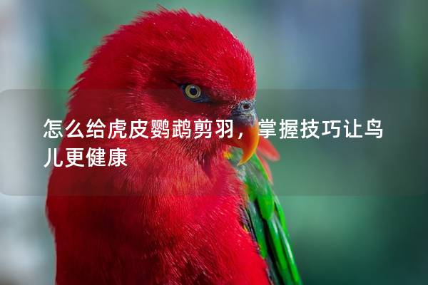 怎么给虎皮鹦鹉剪羽，掌握技巧让鸟儿更健康
