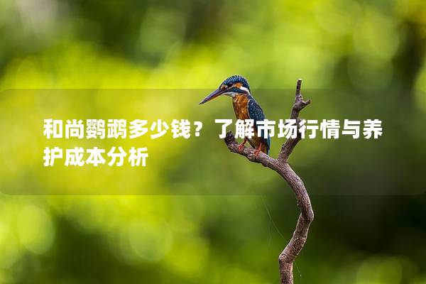 和尚鹦鹉多少钱？了解市场行情与养护成本分析