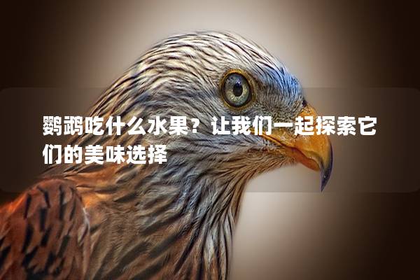鹦鹉吃什么水果？让我们一起探索它们的美味选择