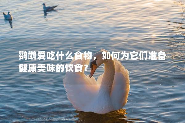鹦鹉爱吃什么食物，如何为它们准备健康美味的饮食？
