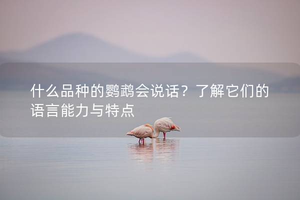 什么品种的鹦鹉会说话？了解它们的语言能力与特点