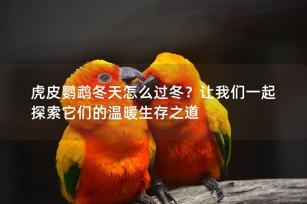 虎皮鹦鹉冬天怎么过冬？让我们一起探索它们的温暖生存之道