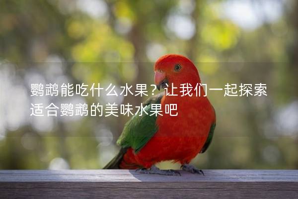 鹦鹉能吃什么水果？让我们一起探索适合鹦鹉的美味水果吧