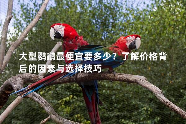 大型鹦鹉最便宜要多少？了解价格背后的因素与选择技巧