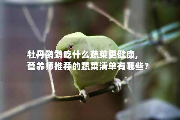 牡丹鹦鹉吃什么蔬菜更健康, 营养师推荐的蔬菜清单有哪些？