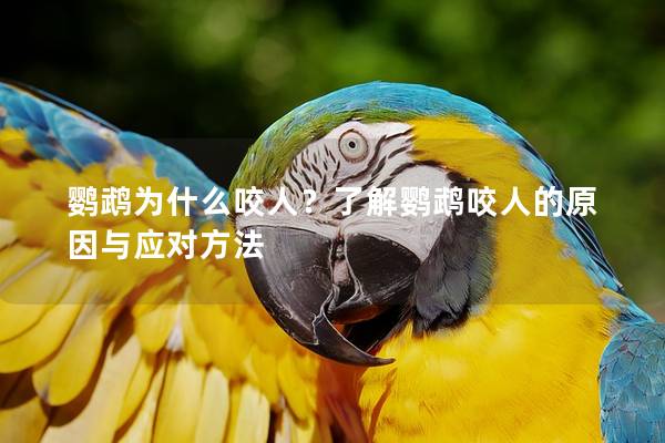 鹦鹉为什么咬人？了解鹦鹉咬人的原因与应对方法