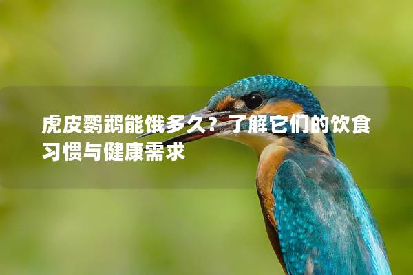 虎皮鹦鹉能饿多久？了解它们的饮食习惯与健康需求