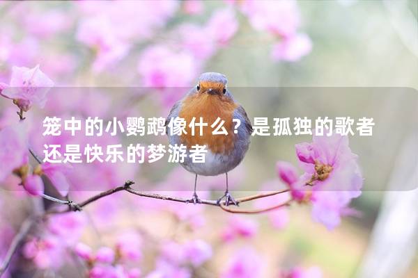 笼中的小鹦鹉像什么？是孤独的歌者还是快乐的梦游者