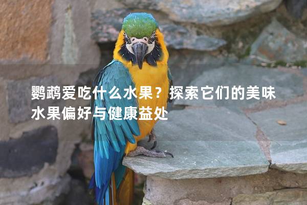 鹦鹉爱吃什么水果？探索它们的美味水果偏好与健康益处