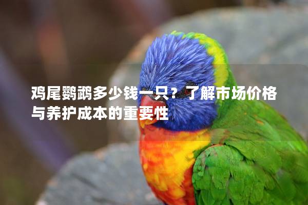 鸡尾鹦鹉多少钱一只？了解市场价格与养护成本的重要性