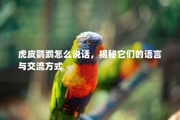 虎皮鹦鹉怎么说话，揭秘它们的语言与交流方式