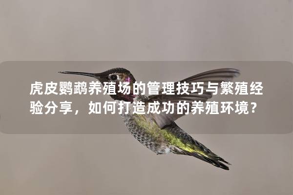 虎皮鹦鹉养殖场的管理技巧与繁殖经验分享，如何打造成功的养殖环境？