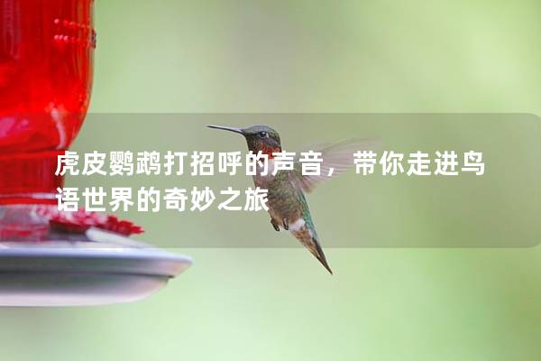 虎皮鹦鹉打招呼的声音，带你走进鸟语世界的奇妙之旅