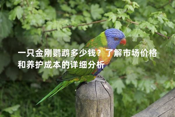 一只金刚鹦鹉多少钱？了解市场价格和养护成本的详细分析
