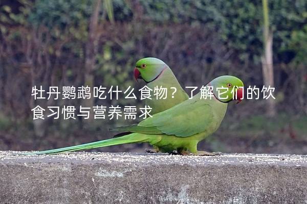 牡丹鹦鹉吃什么食物？了解它们的饮食习惯与营养需求
