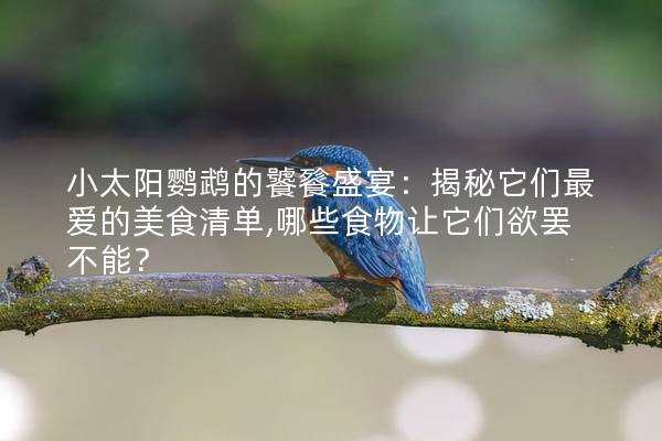 小太阳鹦鹉的饕餮盛宴：揭秘它们最爱的美食清单,哪些食物让它们欲罢不能？