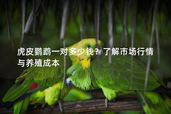 虎皮鹦鹉一对多少钱？了解市场行情与养殖成本