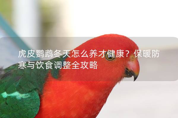 虎皮鹦鹉冬天怎么养才健康？保暖防寒与饮食调整全攻略