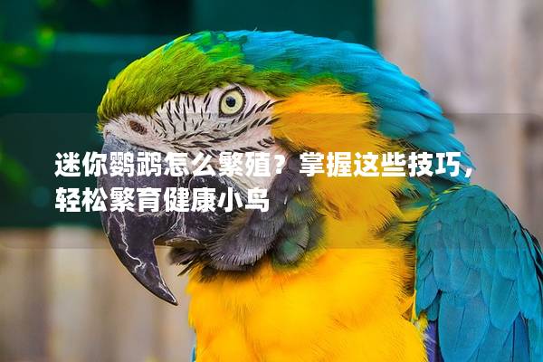 迷你鹦鹉怎么繁殖？掌握这些技巧，轻松繁育健康小鸟