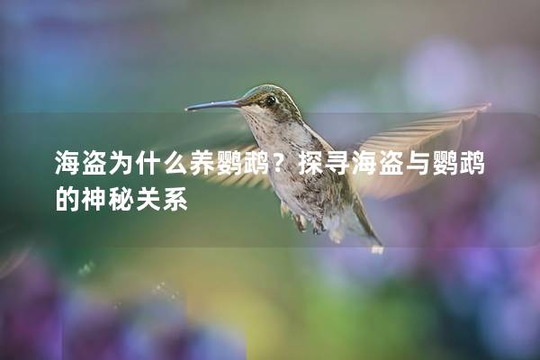 海盗为什么养鹦鹉？探寻海盗与鹦鹉的神秘关系