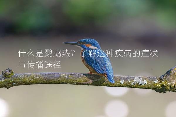 什么是鹦鹉热？了解这种疾病的症状与传播途径