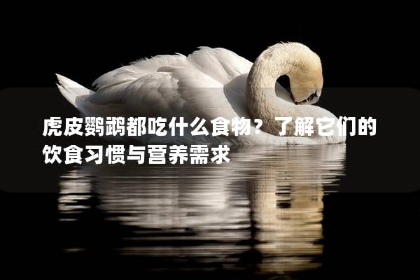 虎皮鹦鹉都吃什么食物？了解它们的饮食习惯与营养需求