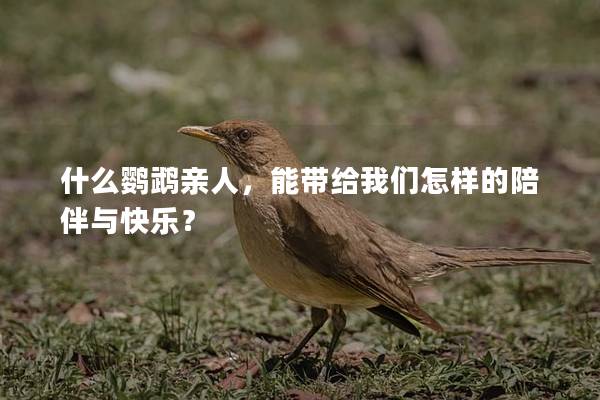什么鹦鹉亲人，能带给我们怎样的陪伴与快乐？
