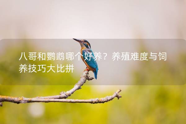 八哥和鹦鹉哪个好养？养殖难度与饲养技巧大比拼