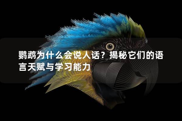 鹦鹉为什么会说人话？揭秘它们的语言天赋与学习能力