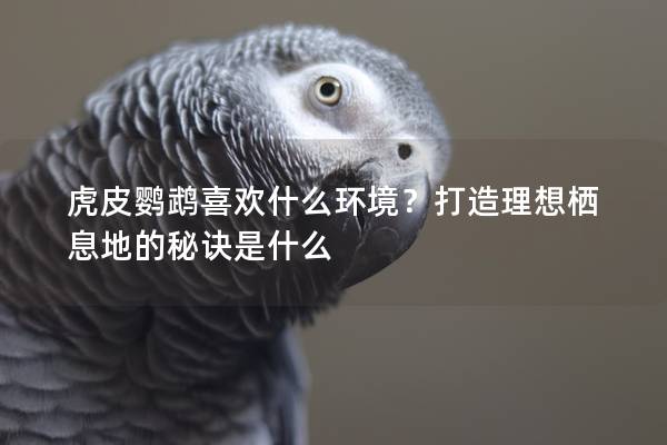 虎皮鹦鹉喜欢什么环境？打造理想栖息地的秘诀是什么